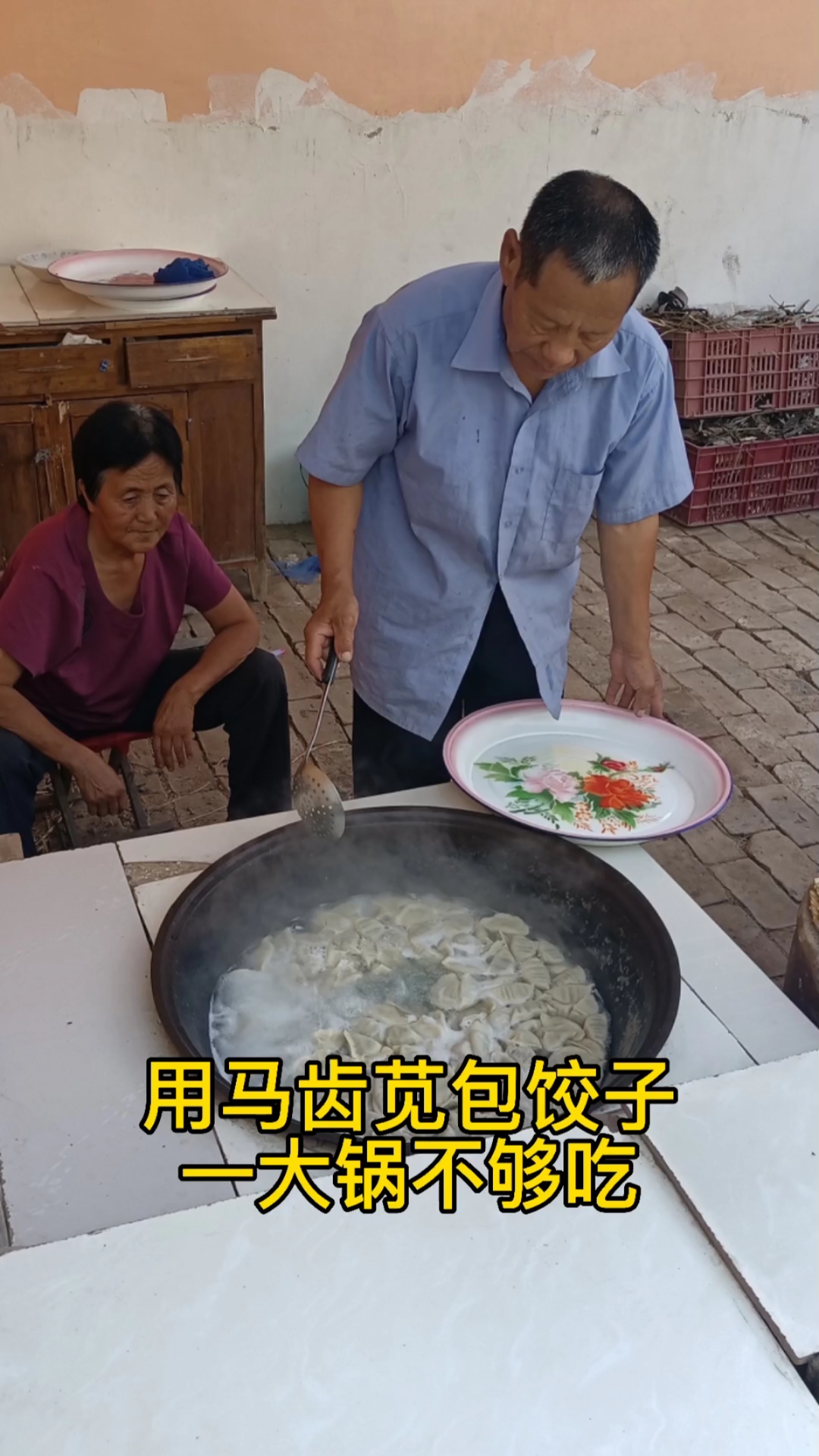 #家乡特色美食#用马齿苋包饺子,一大锅不够吃,营养又简单