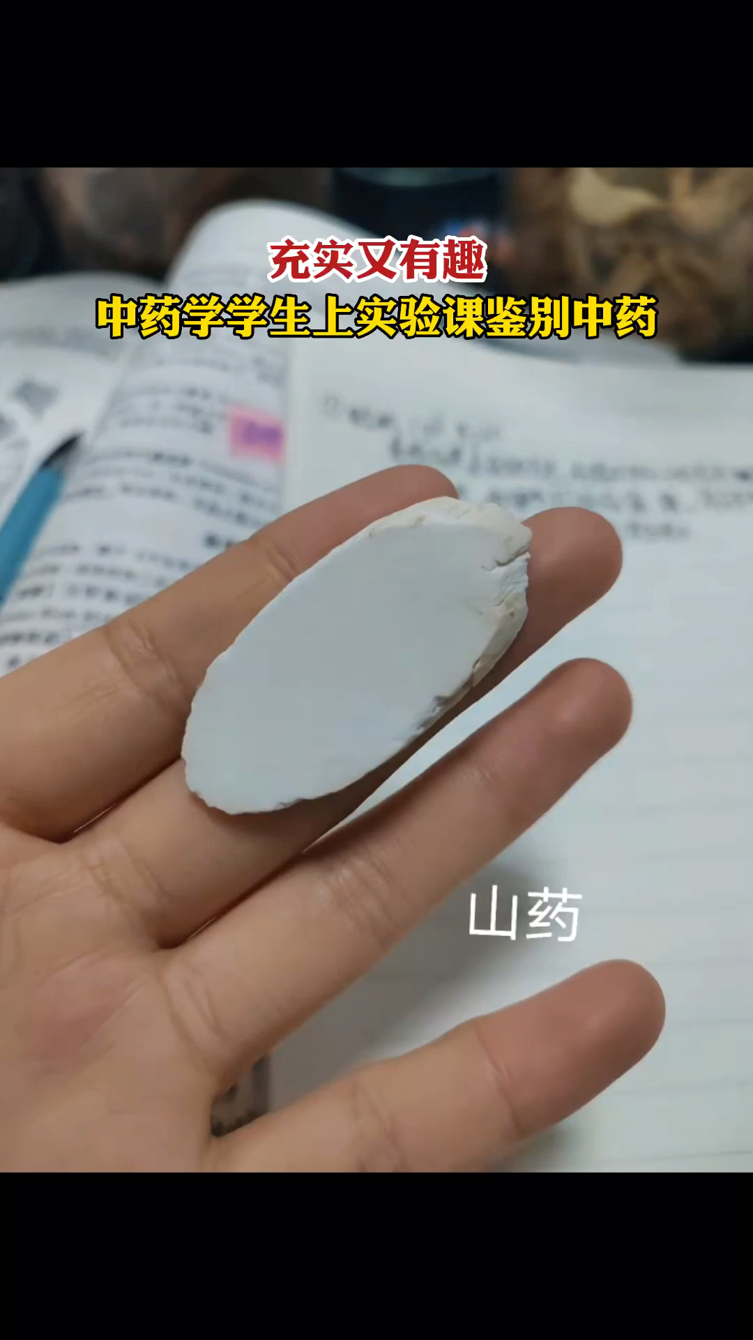 充实又有趣!中药学学生上实验课鉴别中药