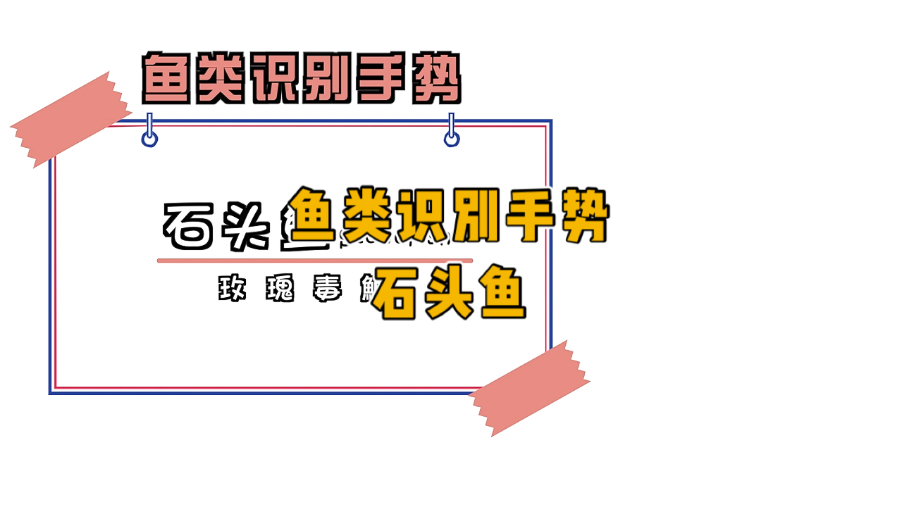 #潜水手势#石头鱼又叫玫瑰毒鮋,是一种毒性最强的珊瑚鱼