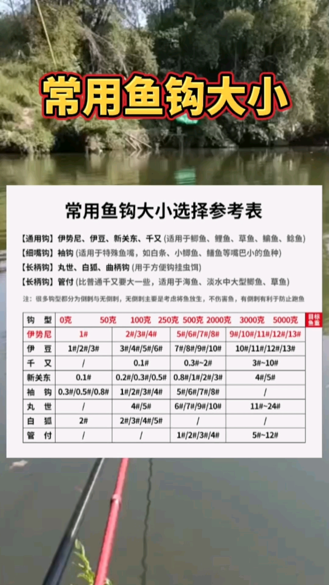 #钓鱼#钓鱼常用鱼钩大小,不同鱼钩钩型对照表