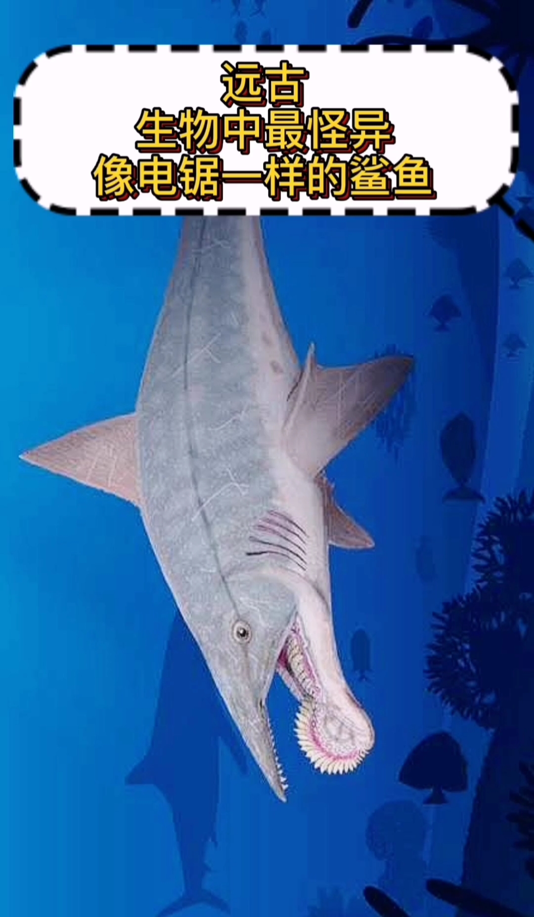 #奇闻趣事抢先看#远古生物中最怪异的像电锯一样的鲨鱼,这就是旋齿鲨。