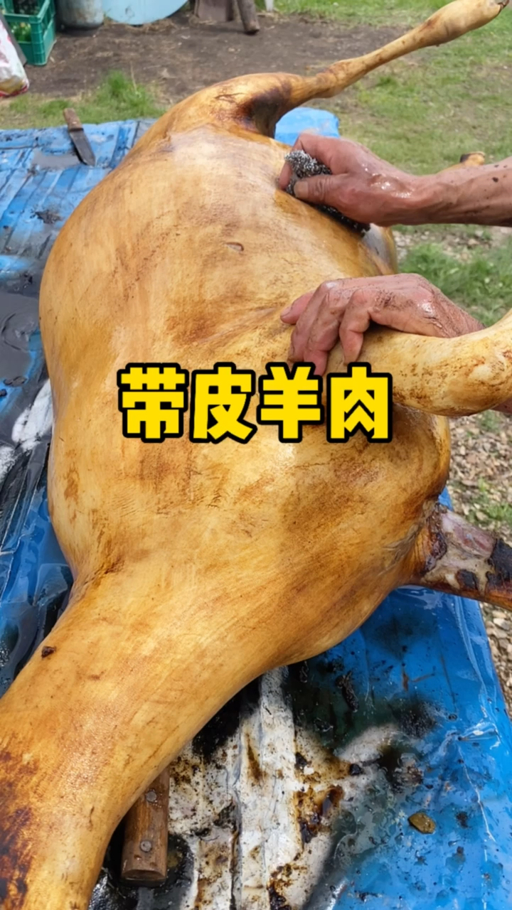 秋天吃带皮羊肉是最佳的季节足足的胶原蛋白