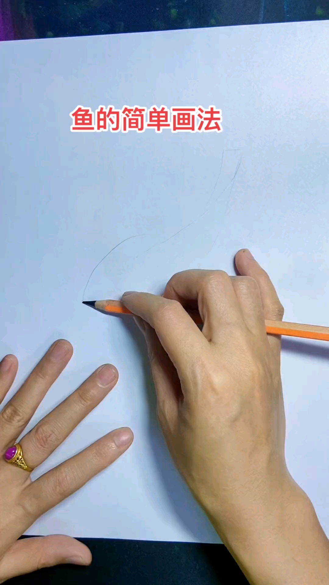 鱼的简单画法