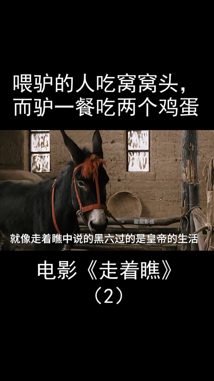 文章:驴都每顿饭都可以吃两个鸡蛋,而我只能啃窝窝头
