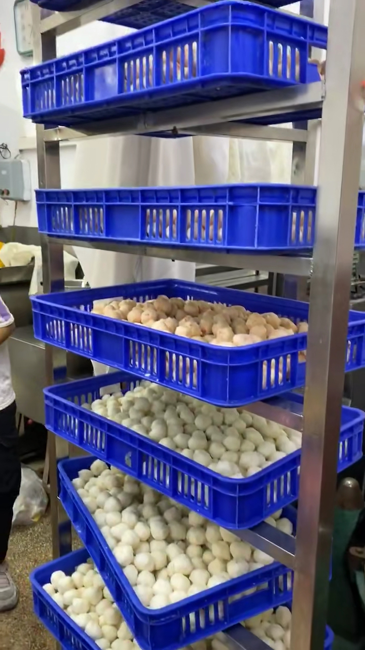 大墨鱼肉做的墨斗丸跟野生海虾做的虾丸,满满一个架子都是