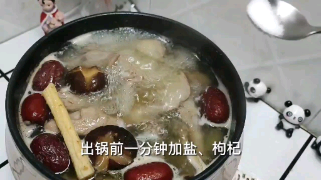 #春日野餐好去处#鸽子汤月子滋补汤健脾补血益气汤浓味美营养丰富