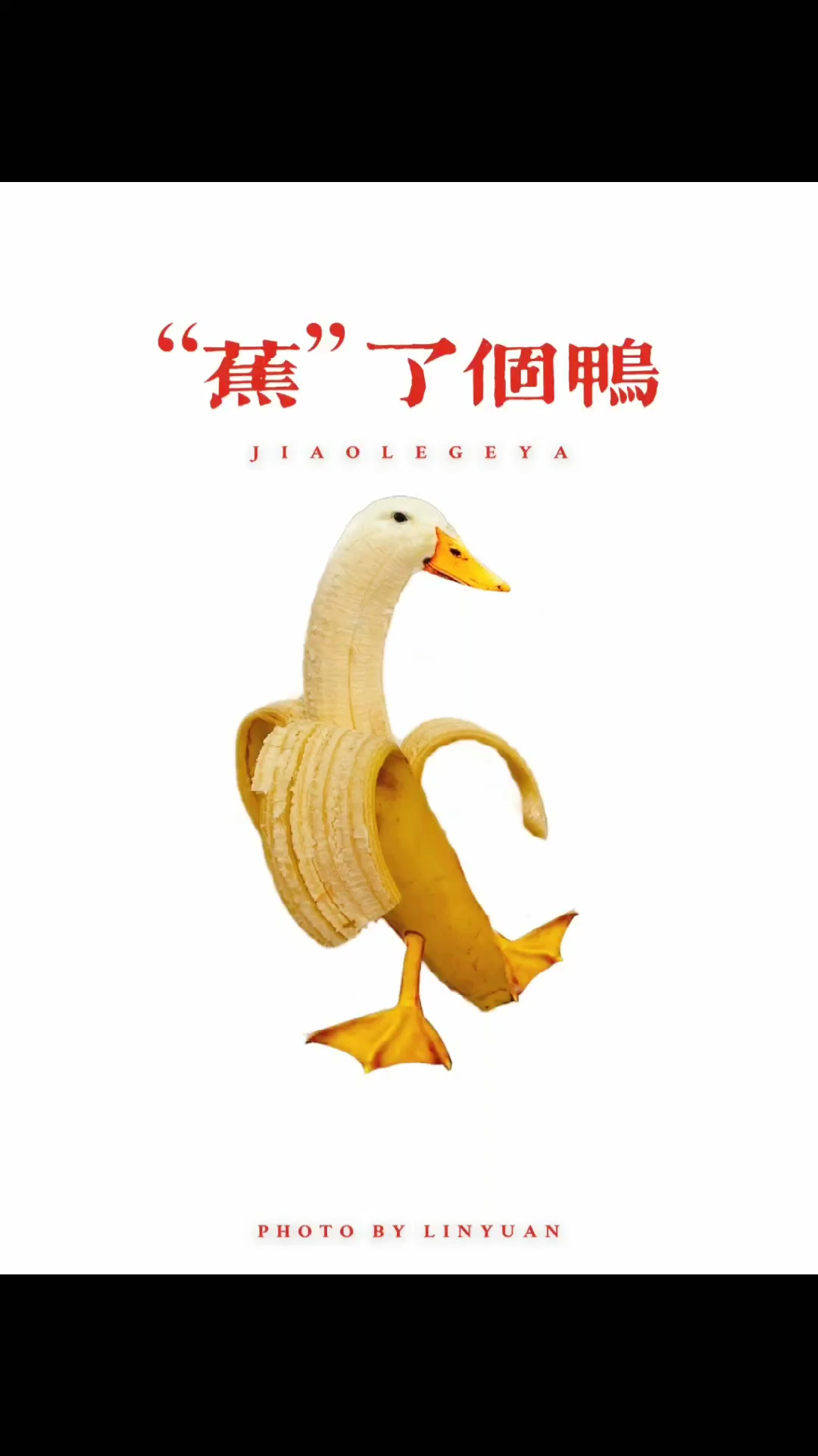 #手机创意摄影#最近你抓鸭子了吗?