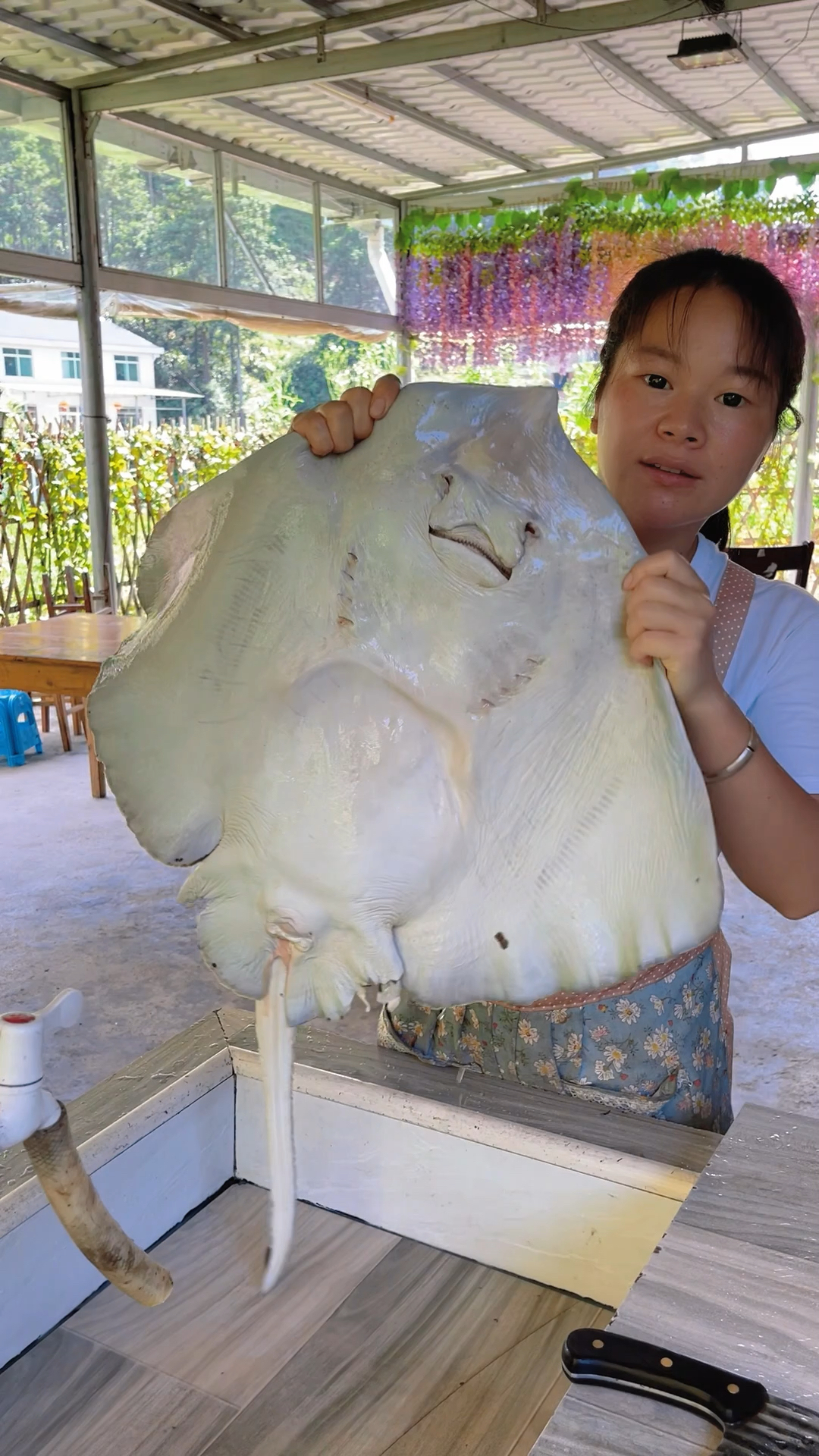 600块钱买了条魔鬼鱼,红烧味道很棒