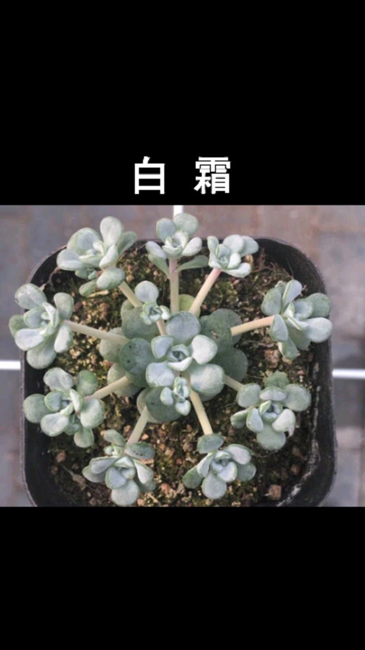 #过好冬天#
