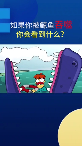 分享视频