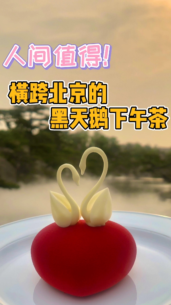 #美食#人间值得,横跨北京的黑天鹅下午茶