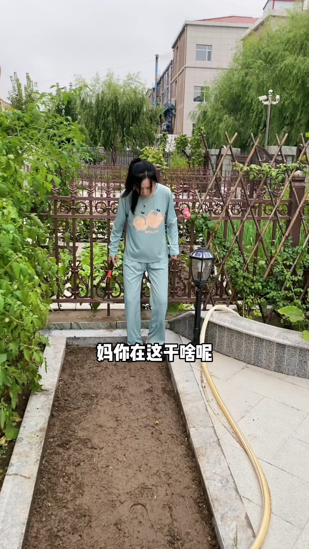 好白菜让猪拱了,这句话到底是夸白菜呢?还是夸猪呢?