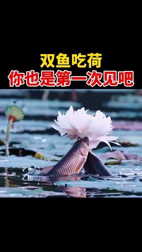 这也太漂亮了,必须分享一下