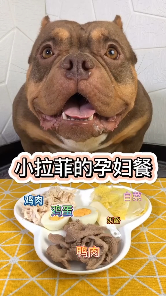 预产期已经快到了,越来越紧张了