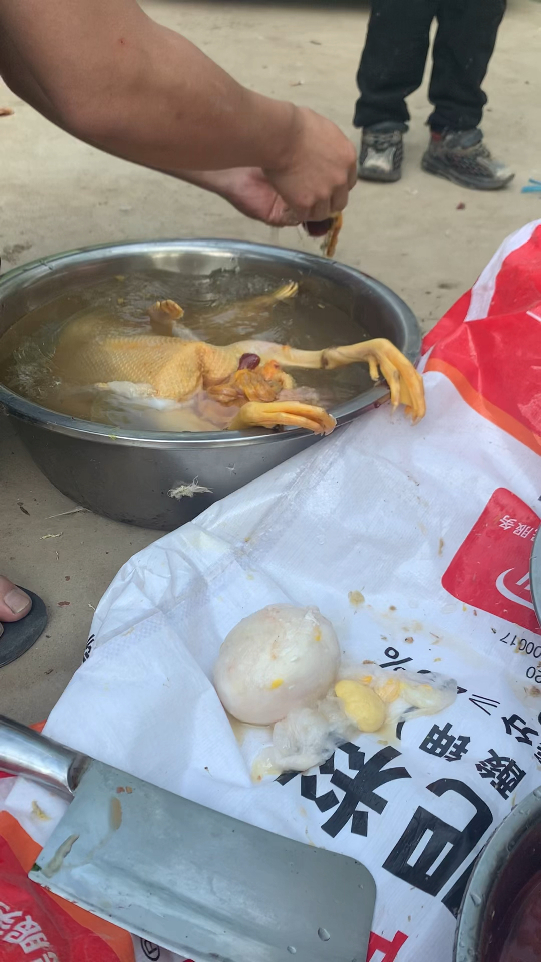 从鸭肚子里面掏出了一个大型不明物,据说是鸭宝能值几百万,也不知道真假,有知道的吗