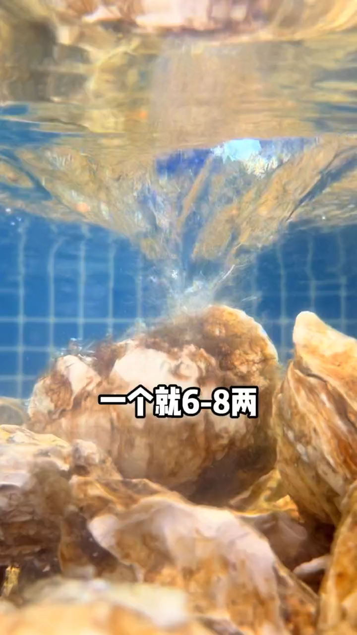 #美食#耗皇,冰淇淋雪花牛肉,都值得尝尝啊