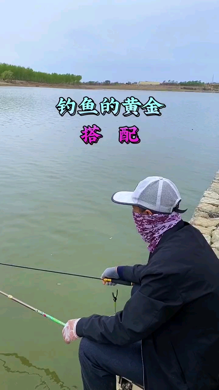 #钓鱼#钓鱼饵料搭配,学会了包钓友们天天爆护