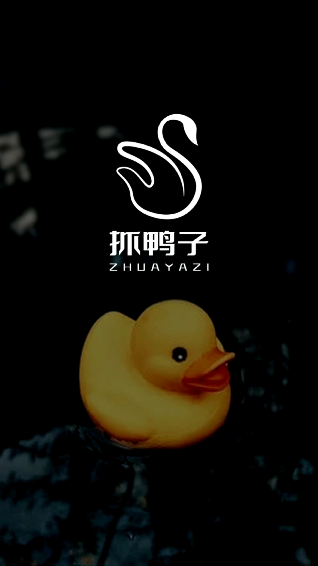 #logo设计#抓鸭子咯,你们要抓几只?