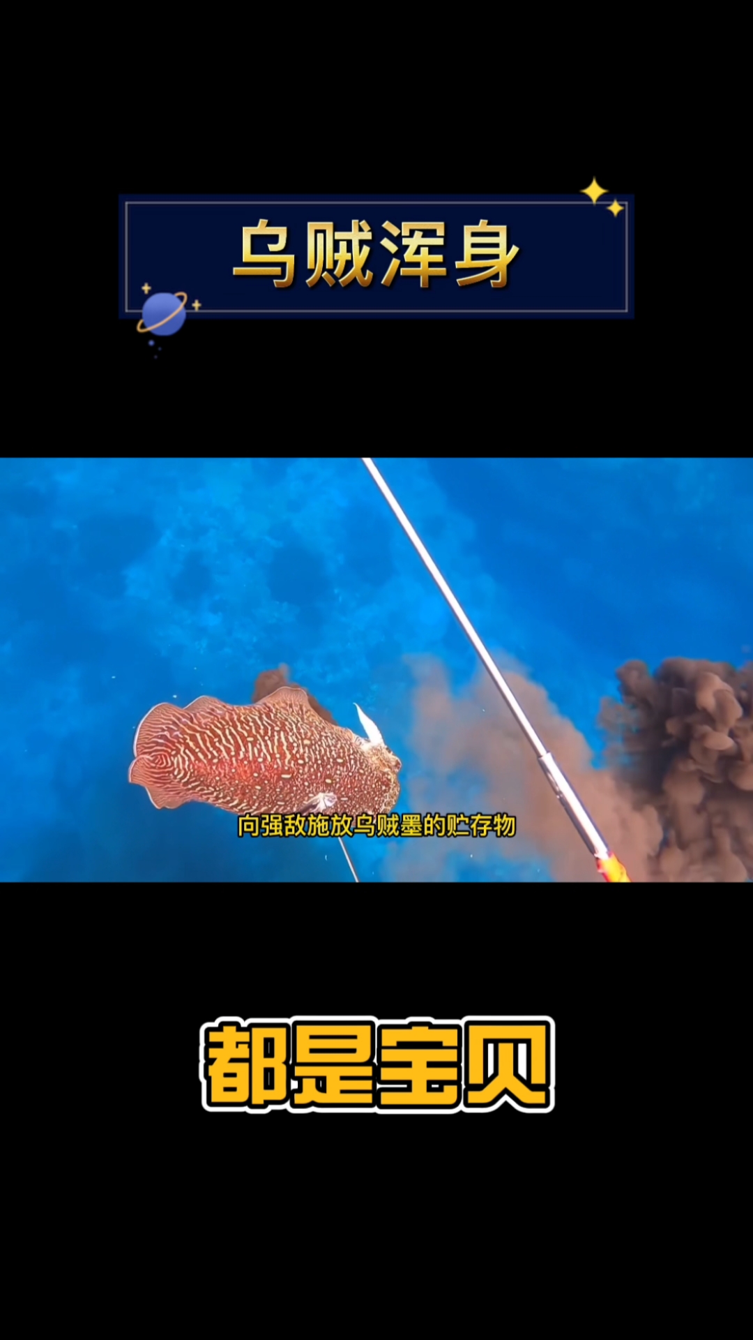 为什么说乌贼浑身都是宝?肉不仅好吃,连喷出来的墨汁都大有作用