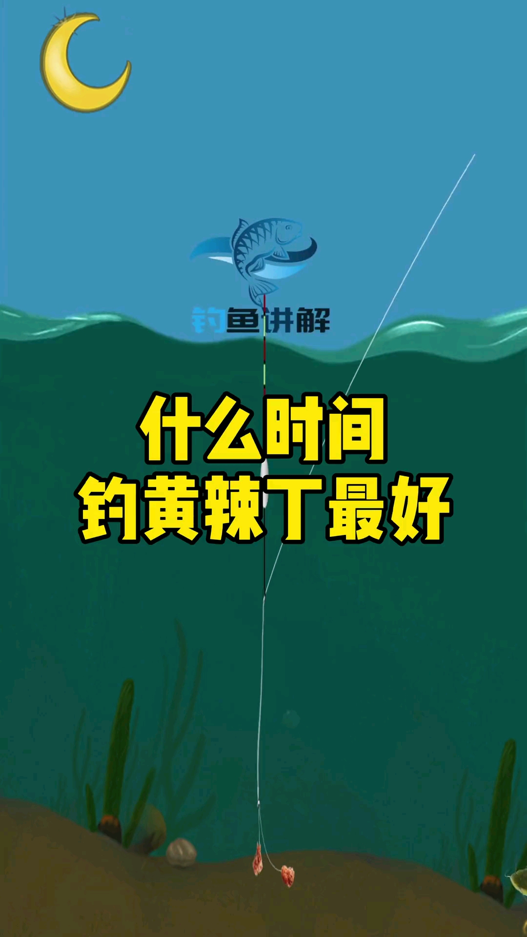 #钓鱼#什么时间钓黄辣丁最好,有知道的钓友嘛?