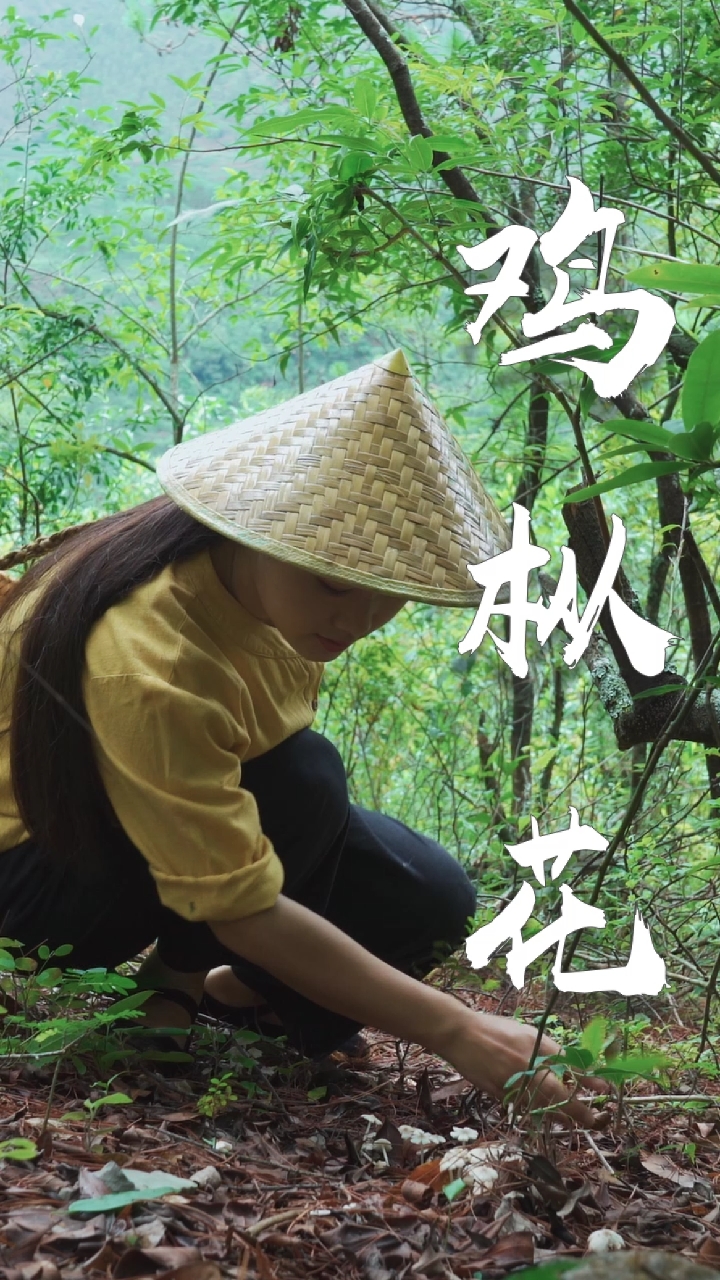 #食神大PK#牛肝菌炒饭和鸡枞花炖鸡蛋,鲜甜爽口,你想尝尝吗?
