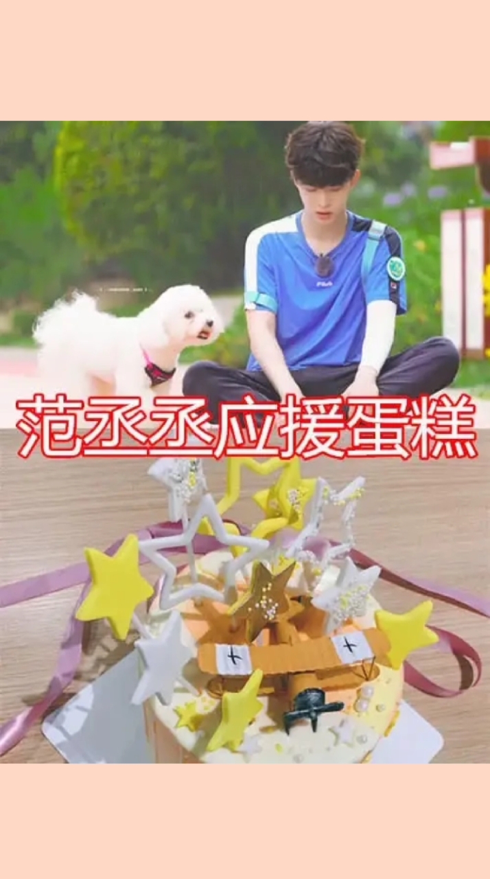 #明星#华晨宇应援蛋糕,王一博应援蛋糕,看到范丞丞:从哪下嘴?