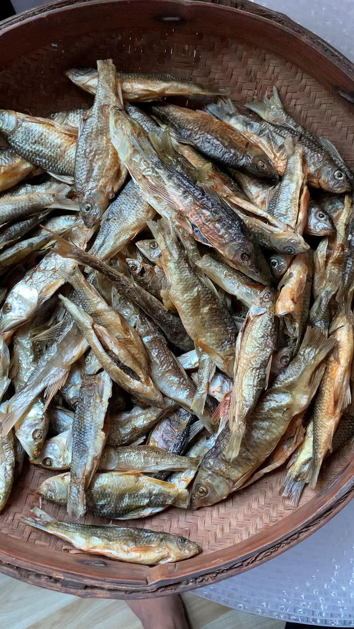 用炭火烤干的溪水石斑鱼马口鱼干你喜欢吃吗?