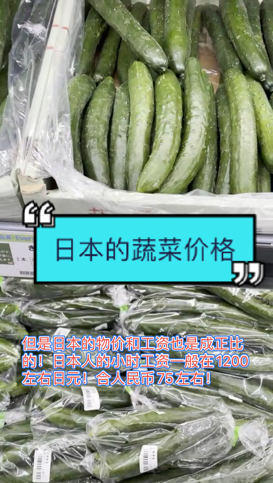 #日本#日本的蔬菜水果都非常的贵!一根黄瓜六十日元!一个西红柿一百日元!