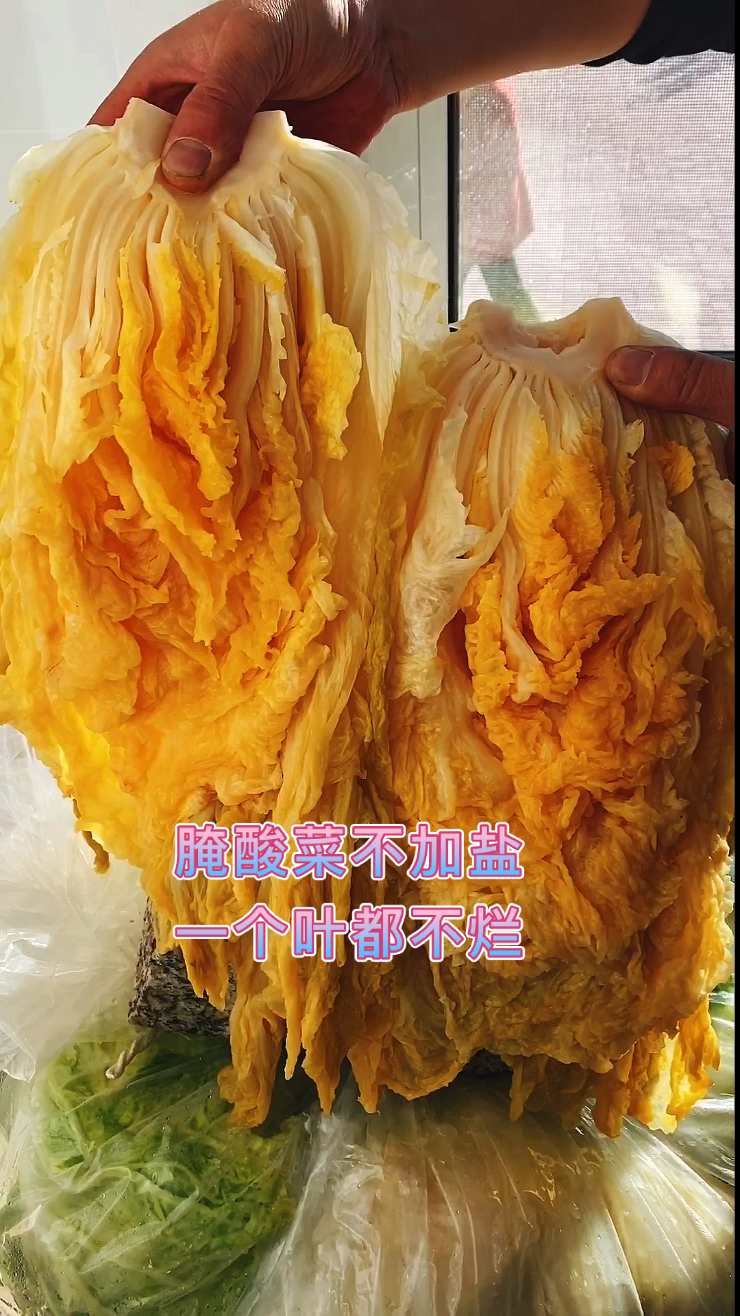#家乡特色美食#东北人的大酸菜
