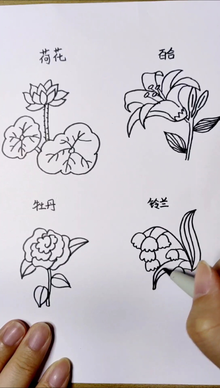#简笔画#画各种花，告诉我你喜欢哪种？