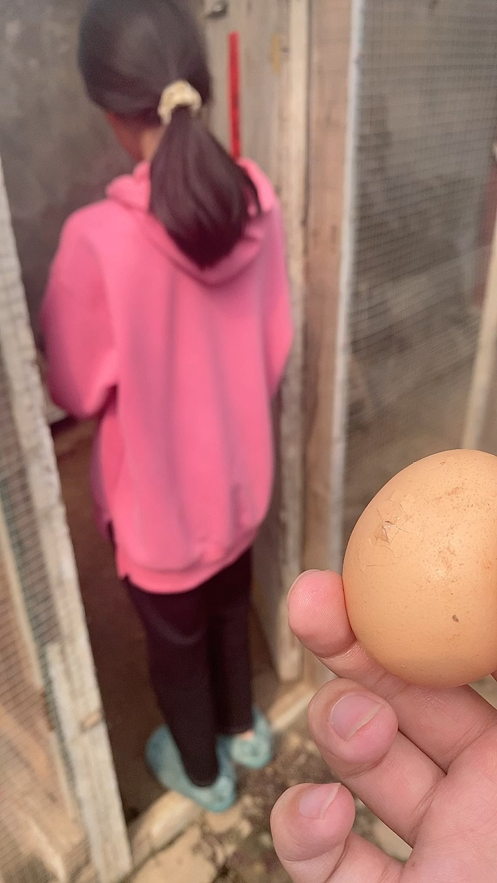 第一次见鸡蛋破壳