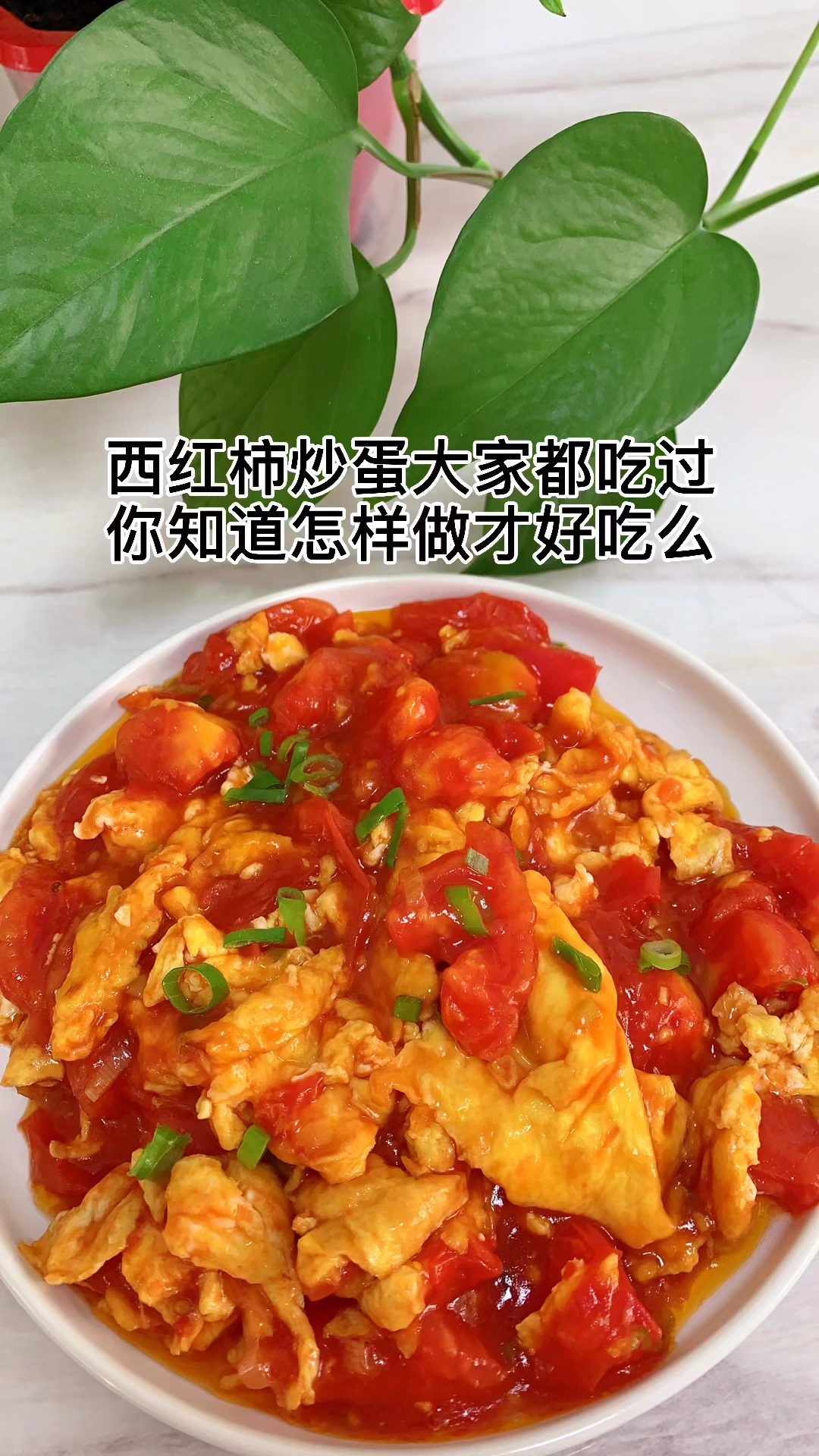 #家乡特色美食#西红柿炒鸡蛋正确做法,喜欢的家人们做起来吧!