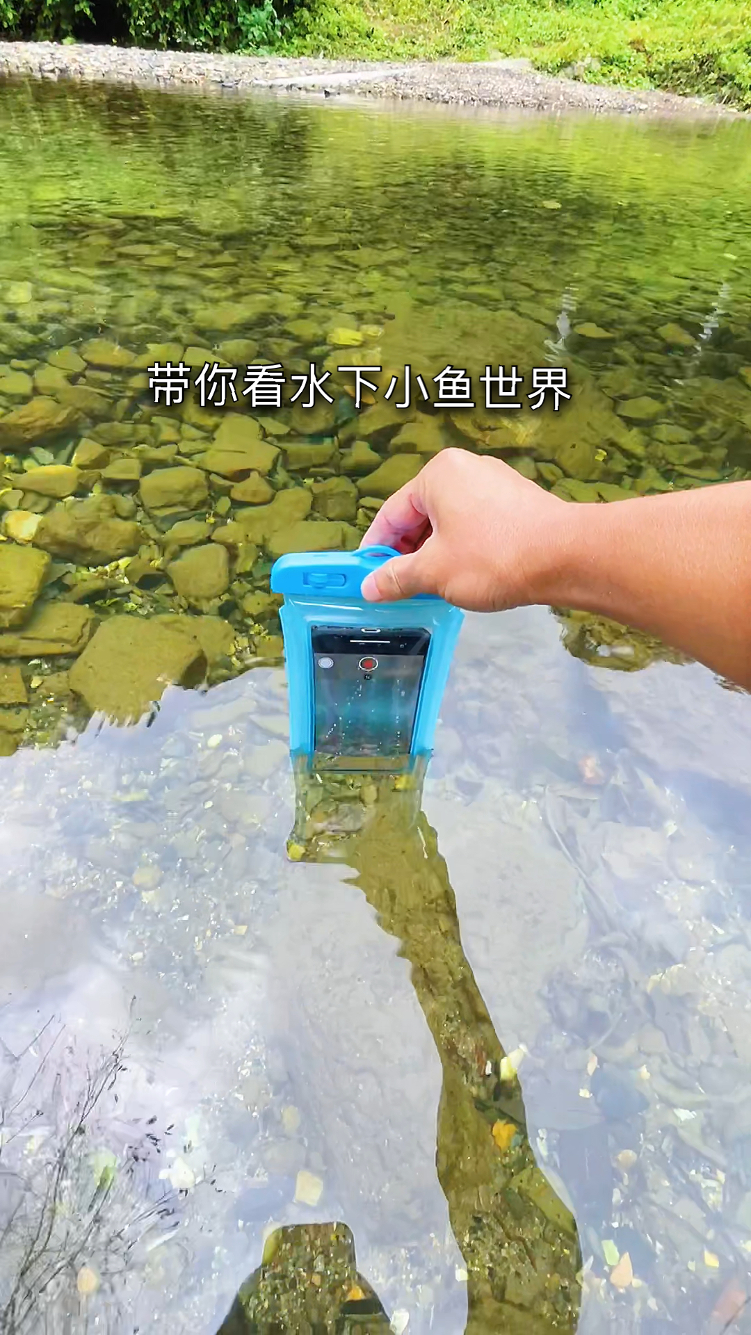 #手机摄影#带你看水下小鱼世界