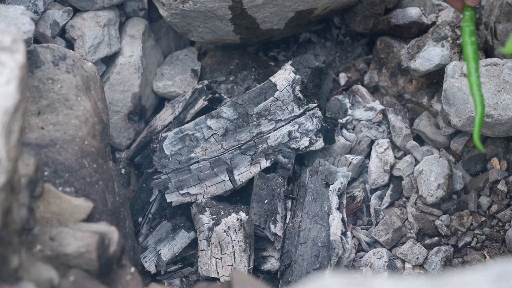 #美食#小伙深山秘制猪腰汉堡，夹上香菜皮蛋酱，这味道真的很上头