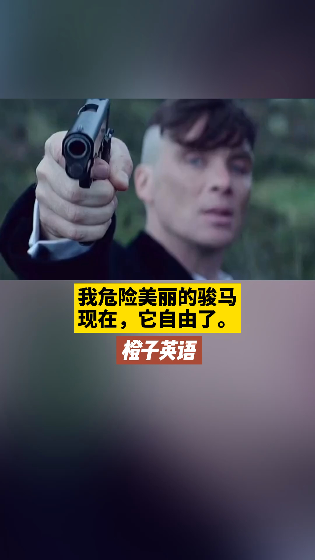 #浴血黑帮#我危险美丽的骏马,现在,它自由了