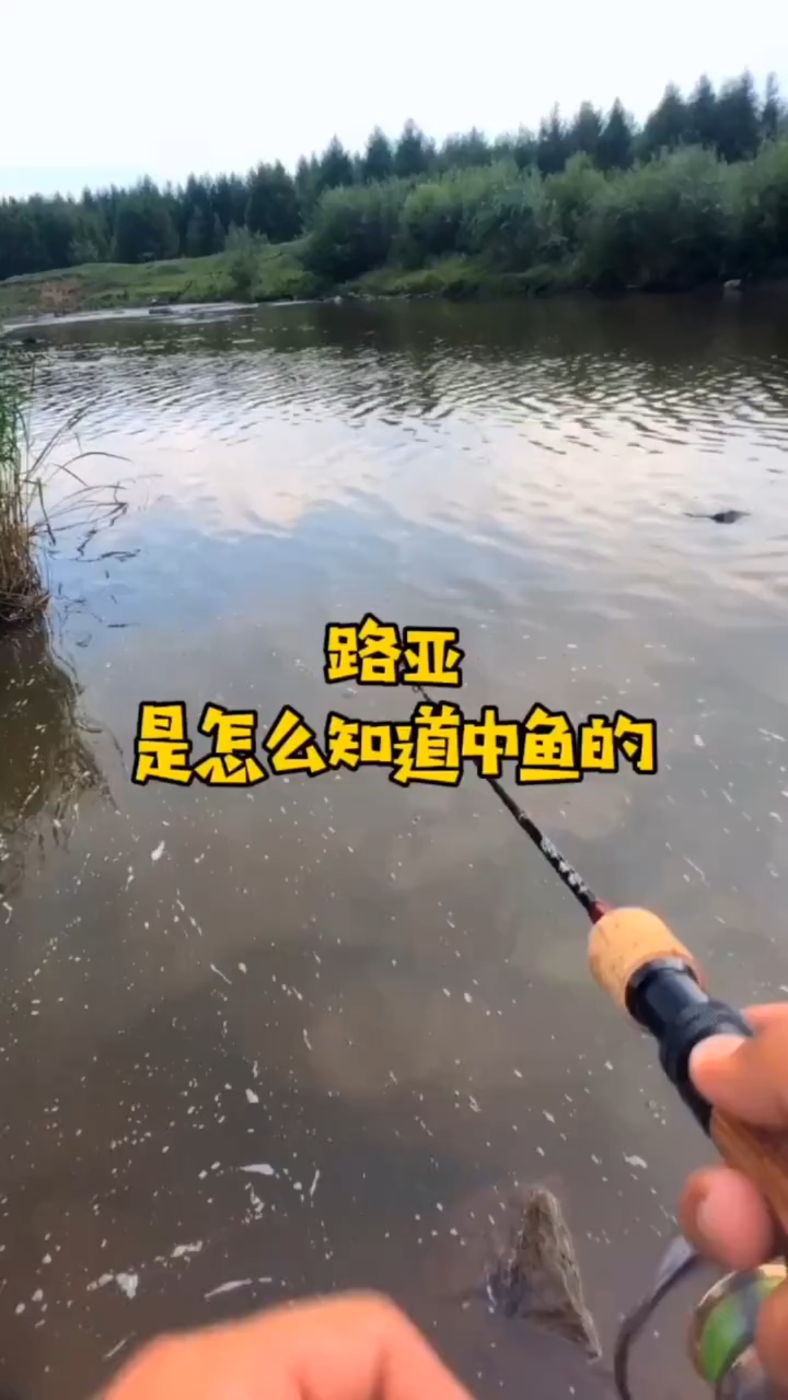 #路亚#有人问我,是怎么知道鱼咬钩的。这不,视频来了