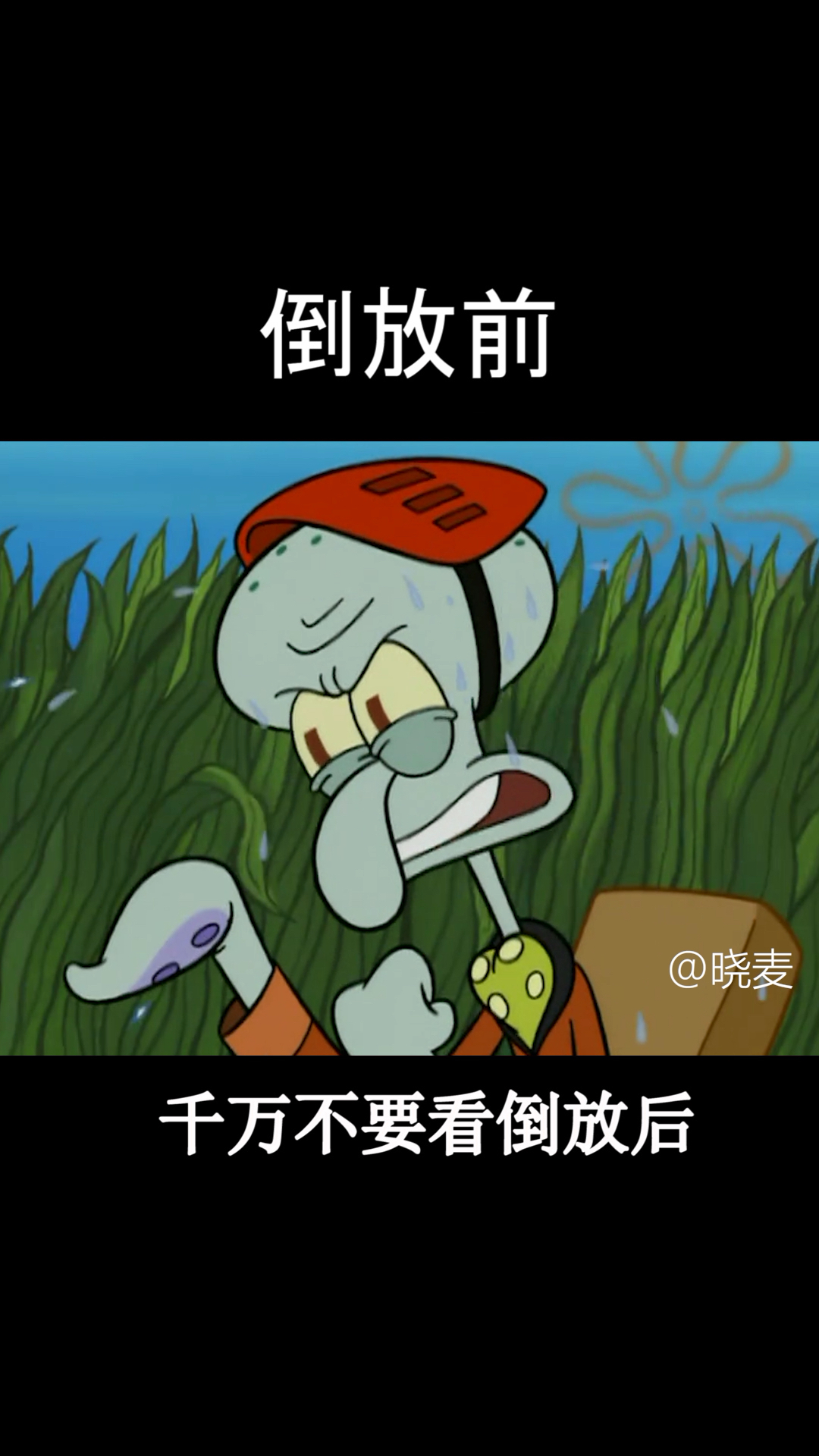 #动漫#章鱼哥内心是有海绵宝宝的