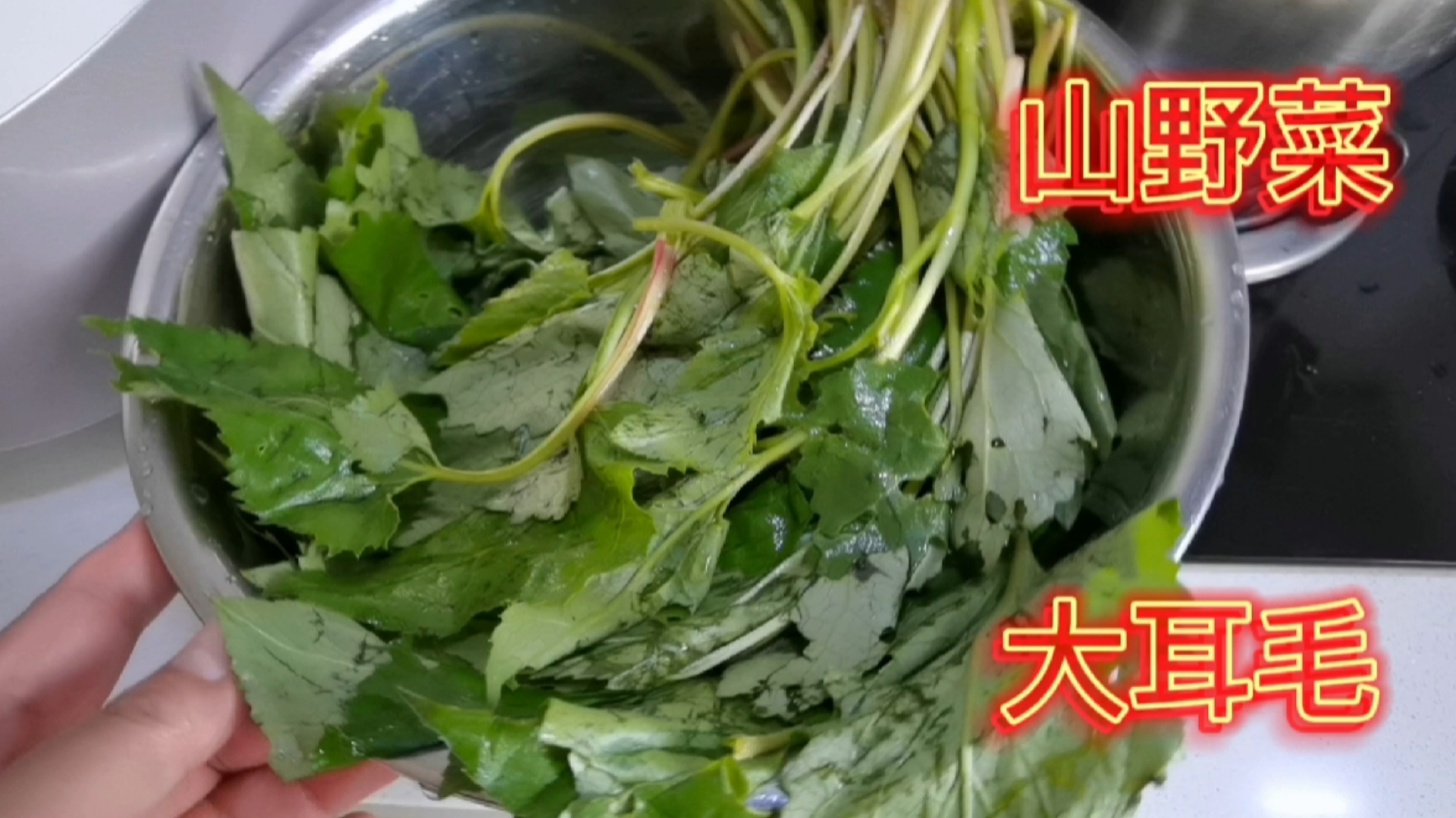 #记录生活#舌尖美食/山野菜大耳毛馅包子