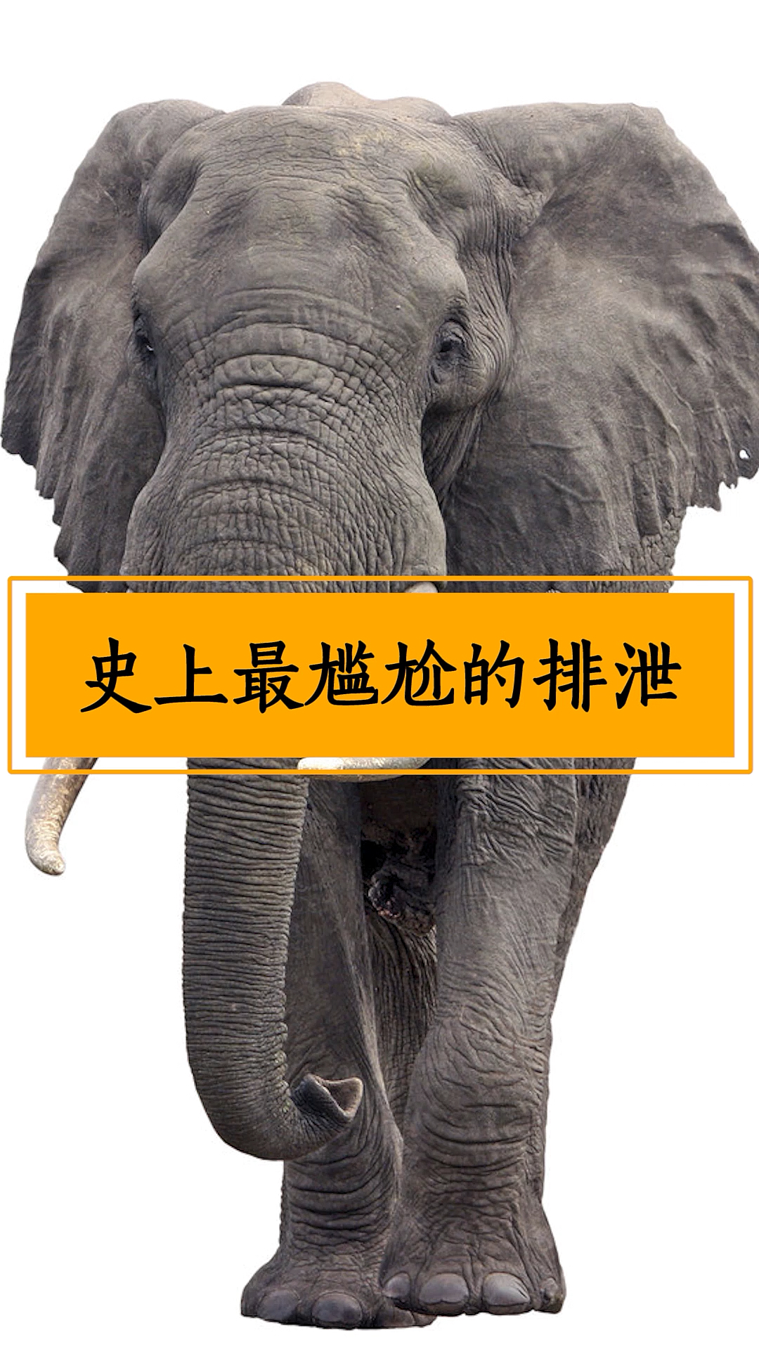 分享视频