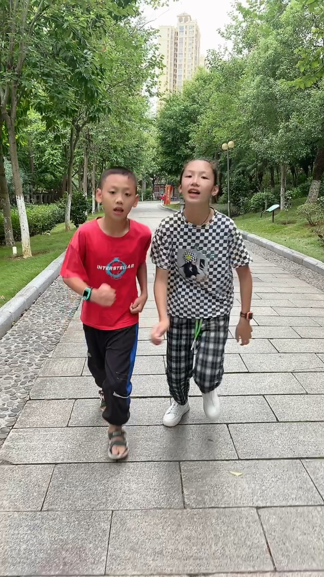 又偷看我手机