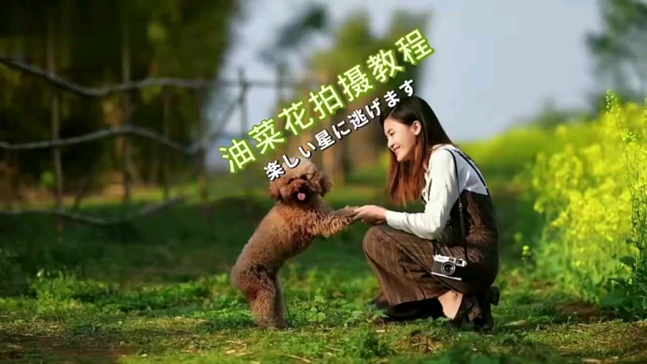 油菜花人像进阶拍摄教程,建议收藏。#摄影#手机原创摄影#摄影教程