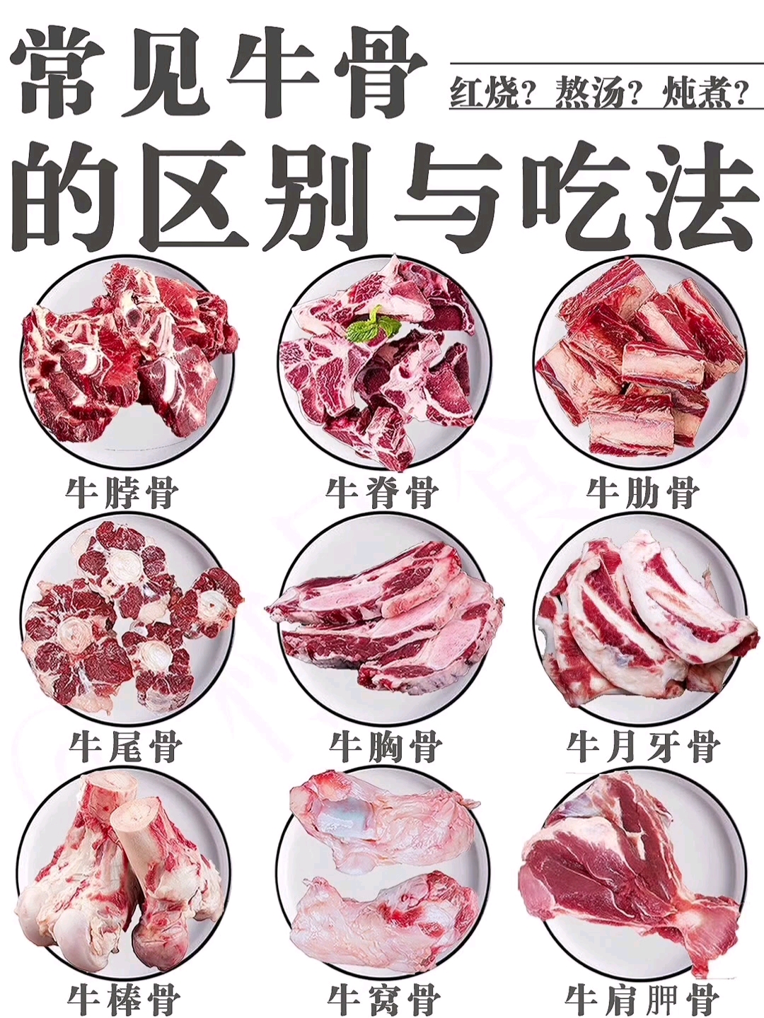 牛骨头有多种做法,不仅味道鲜美,而且营养丰富,含骨胶原、脂肪、磷脂、钙等,