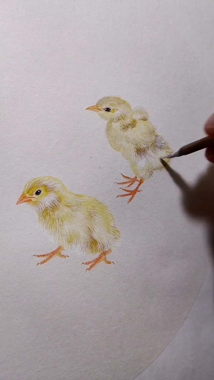 #徐伯逸书画#萌萌的小鸡画起来真可爱