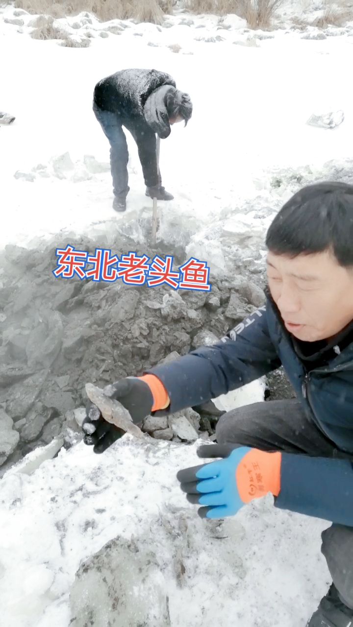 东北野生鱼,非常稀少
