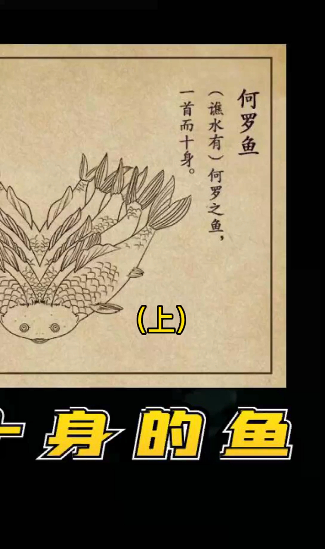 (上)山海经记载的是否是神话故事?可在现实中却找到了书中的神兽