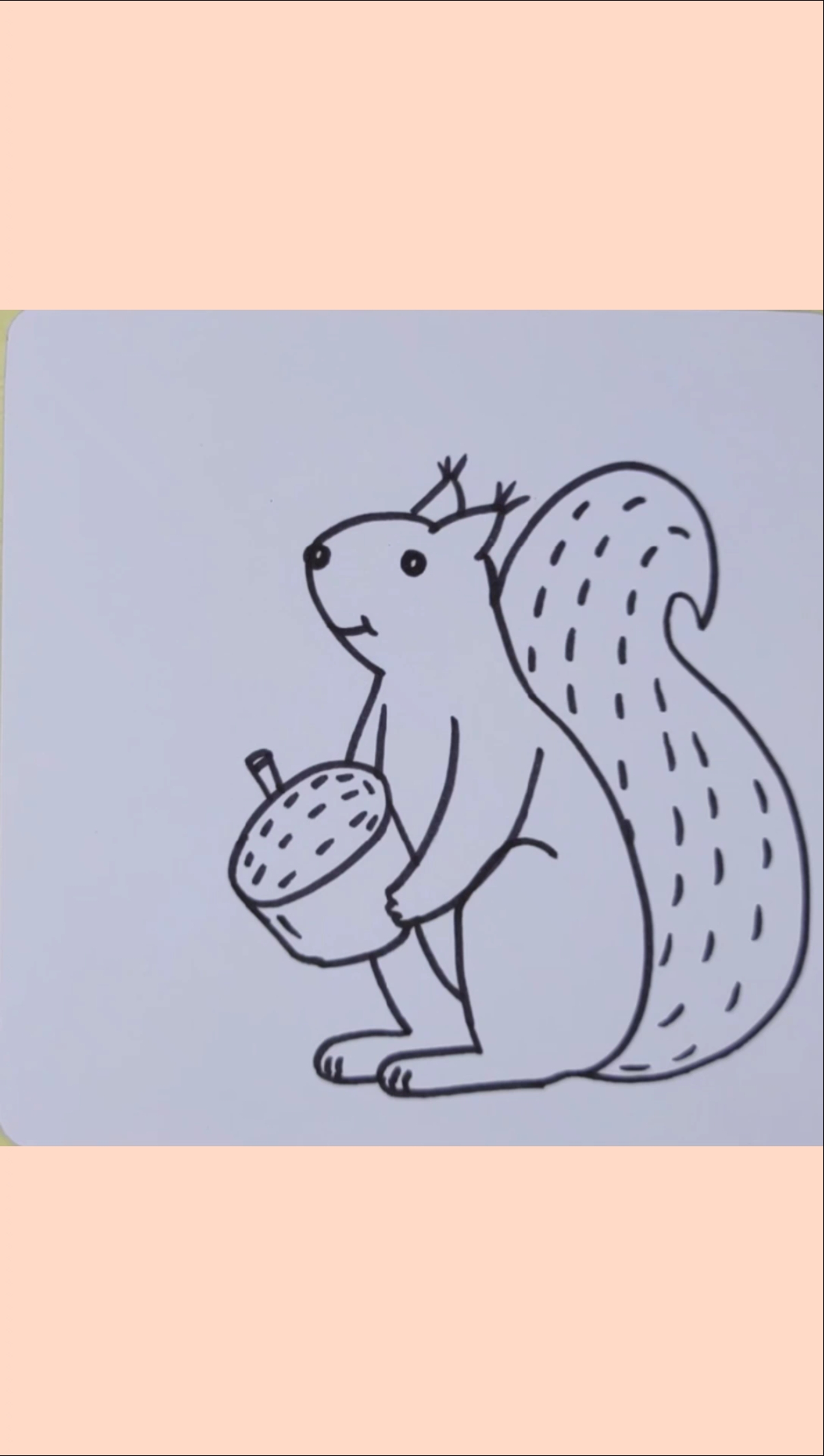 #画画原来如此简单#爱吃坚果的松鼠这样画#简笔画#画画