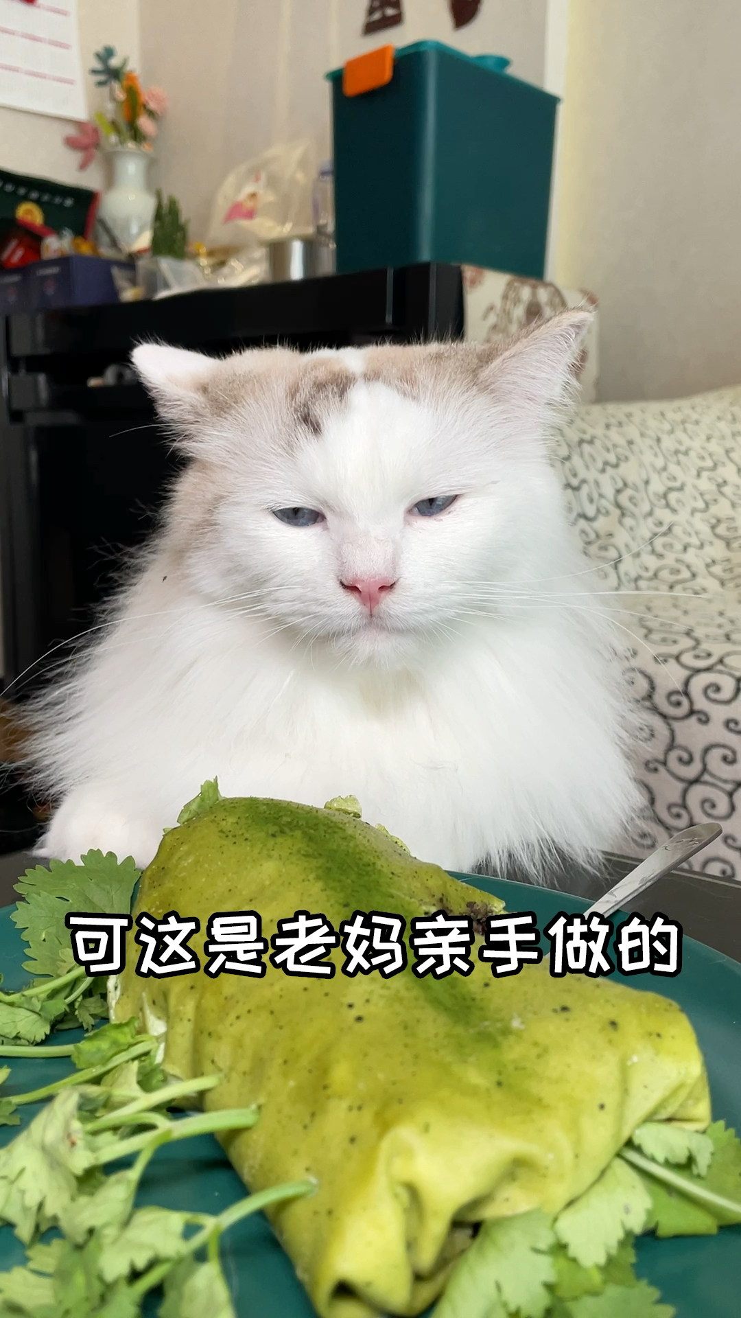 #我家萌宠成精了#香菜这么香!你们都不爱么