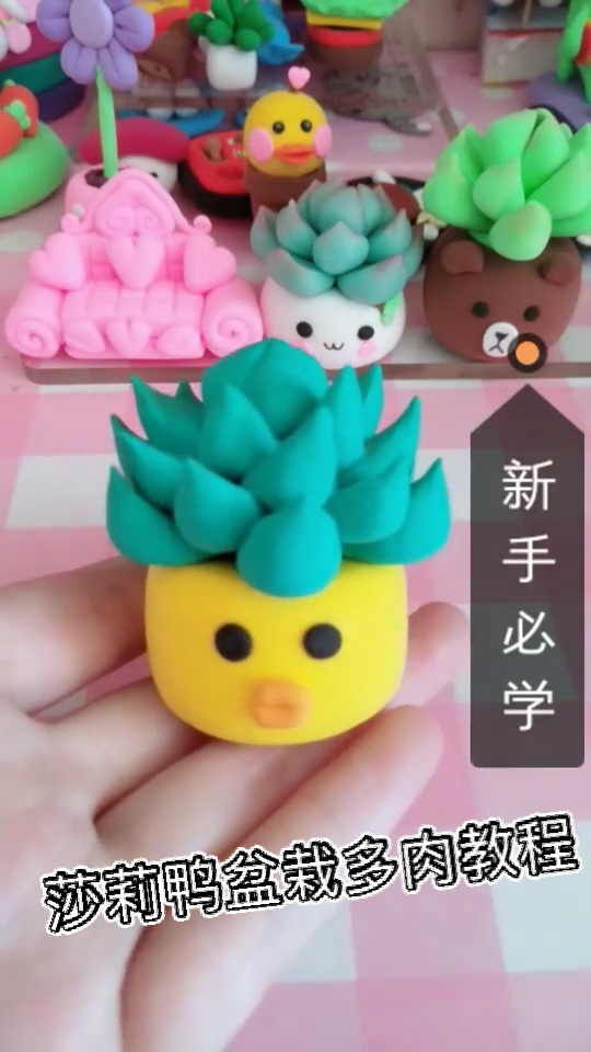 莎莉鸭盆栽多肉教程