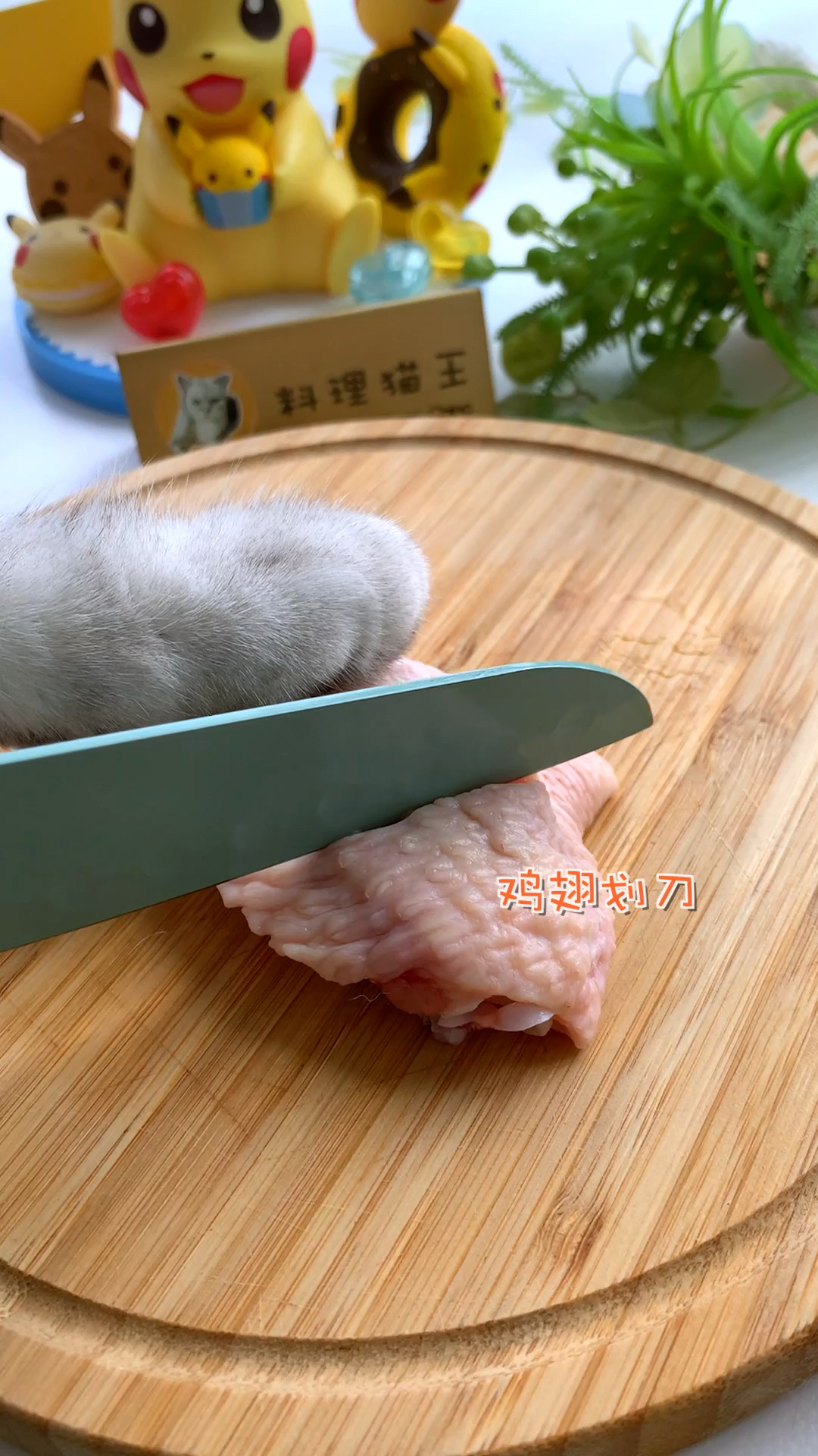 #猫咪日记#今天本喵做个热菜,要不然你们以为本喵只会冷饮