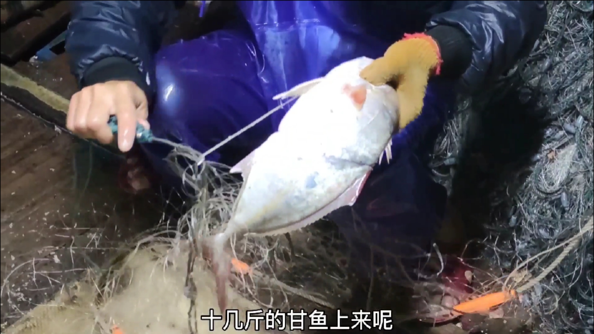 #赶海捉海鲜#难得天气晴朗多天,彪哥去外海放5000米网,准备捕满一船鱼再回来(下)